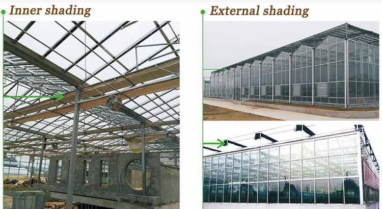 Glass multi-span smart greenhouse