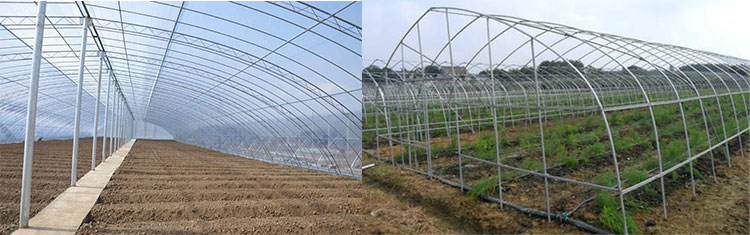 Multi-span film greenhouses