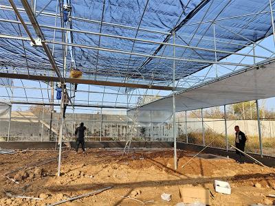 agricultural greenhouse