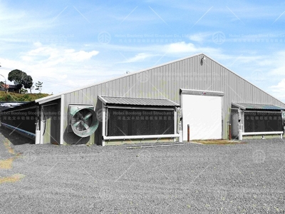 Chicken house design