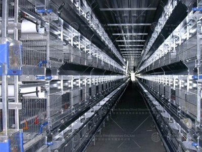 Steel Structure Farm
