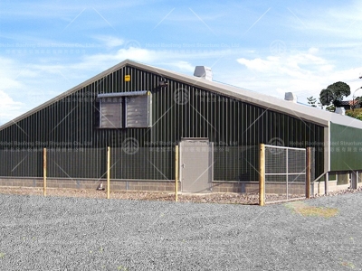 steel structure chicken house