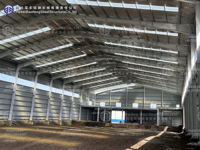 steel structure building